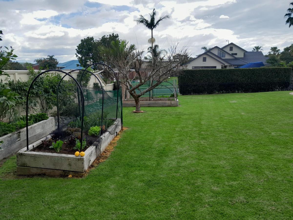 Moana Vista Villa One Tree Point Exterior photo
